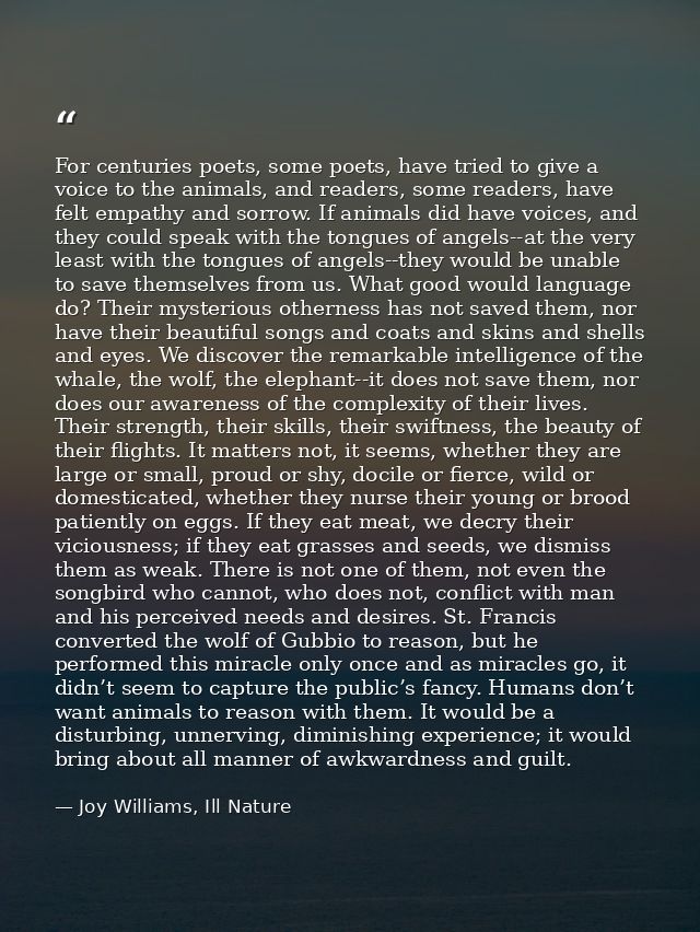 For centuries poets, some poets, have tried to give a voice to the animals, and readers, some readers, have felt empathy — Joy Williams, Ill Nature
