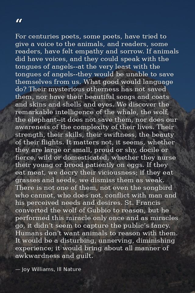 For centuries poets, some poets, have tried to give a voice to the animals, and readers, some readers, have felt empathy — Joy Williams, Ill Nature