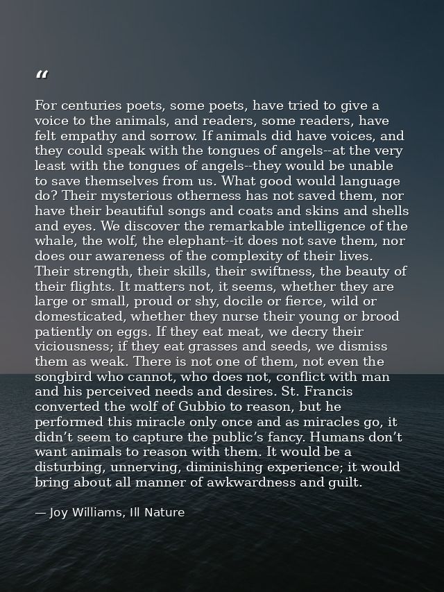 For centuries poets, some poets, have tried to give a voice to the animals, and readers, some readers, have felt empathy — Joy Williams, Ill Nature