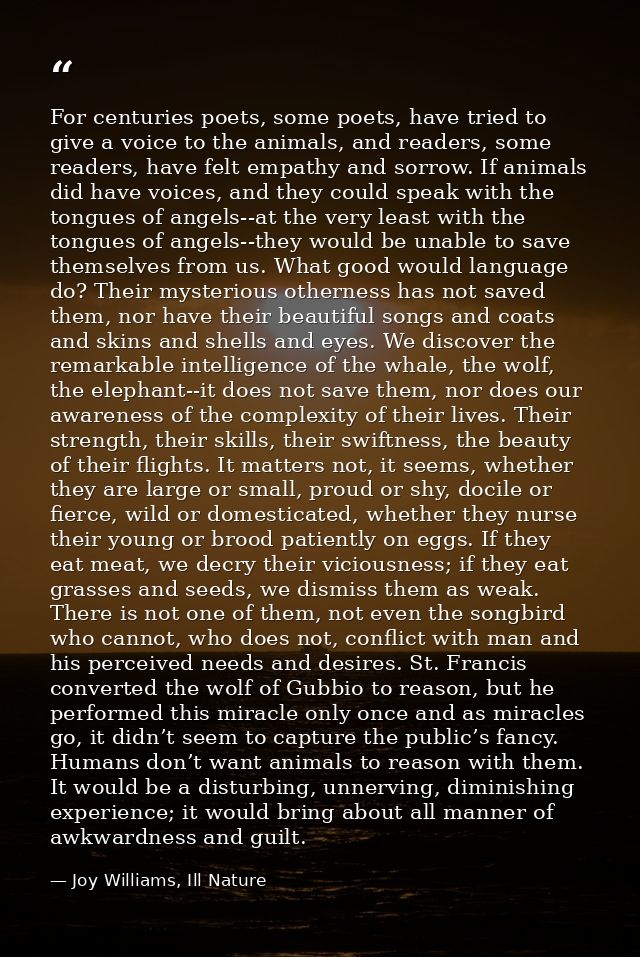 For centuries poets, some poets, have tried to give a voice to the animals, and readers, some readers, have felt empathy — Joy Williams, Ill Nature