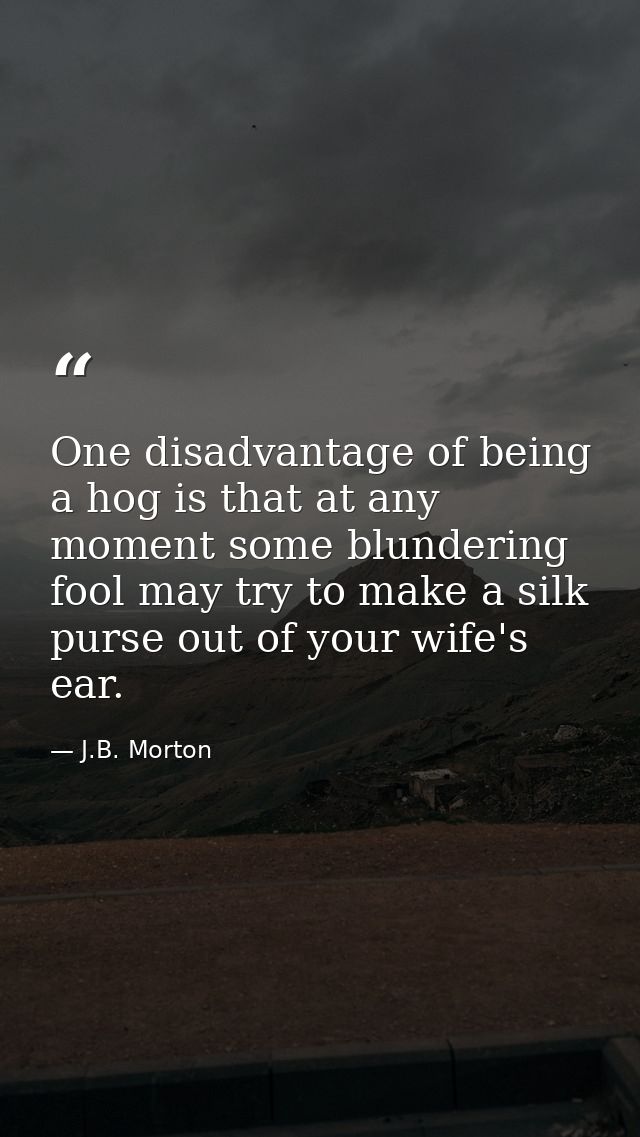 One disadvantage of being a hog is that at any moment some blundering fool may try to make a silk purse out of your wife — J.B. Morton