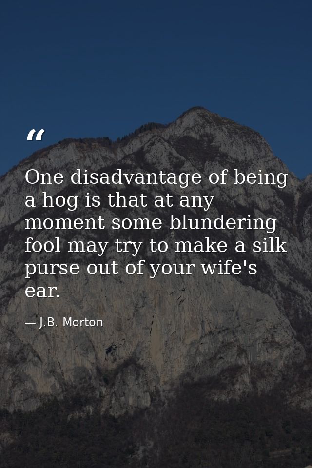 One disadvantage of being a hog is that at any moment some blundering fool may try to make a silk purse out of your wife — J.B. Morton