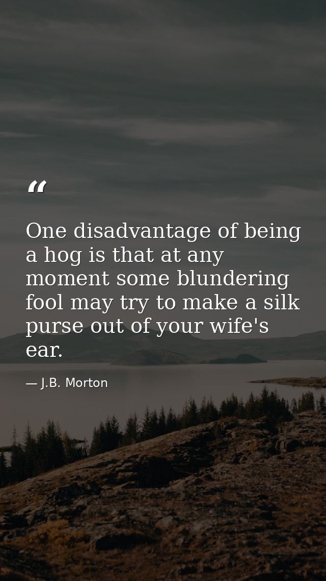 One disadvantage of being a hog is that at any moment some blundering fool may try to make a silk purse out of your wife — J.B. Morton