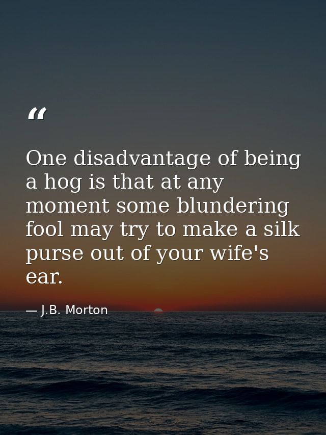 One disadvantage of being a hog is that at any moment some blundering fool may try to make a silk purse out of your wife — J.B. Morton