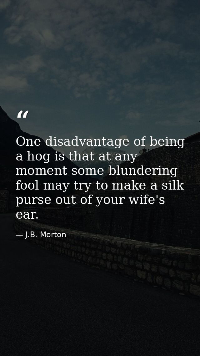 One disadvantage of being a hog is that at any moment some blundering fool may try to make a silk purse out of your wife — J.B. Morton