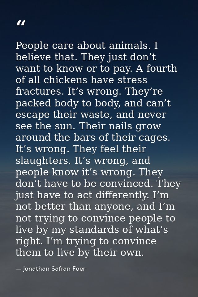 People care about animals. I believe that. They just don’t want to know or to pay. A fourth of all chickens have stress  — Jonathan Safran Foer