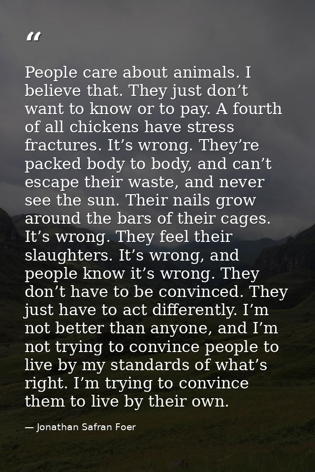 People care about animals. I believe that. They just don’t want to know or to pay. A fourth of all chickens have stress  — Jonathan Safran Foer