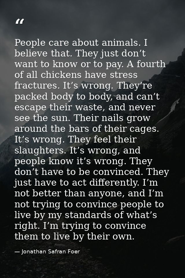 People care about animals. I believe that. They just don’t want to know or to pay. A fourth of all chickens have stress  — Jonathan Safran Foer
