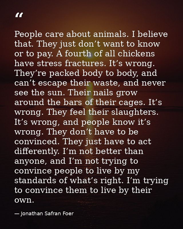 People care about animals. I believe that. They just don’t want to know or to pay. A fourth of all chickens have stress  — Jonathan Safran Foer