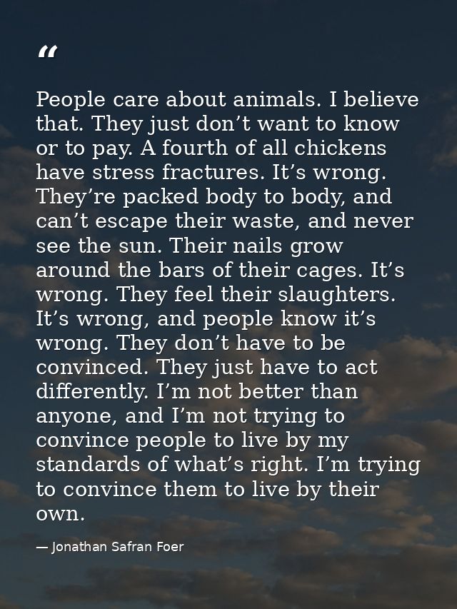 People care about animals. I believe that. They just don’t want to know or to pay. A fourth of all chickens have stress  — Jonathan Safran Foer