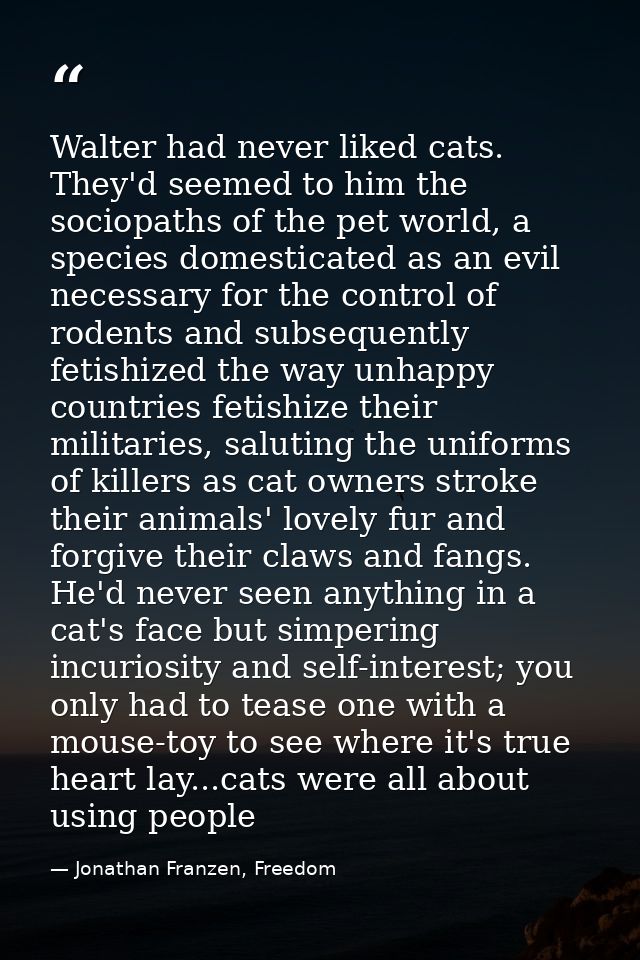 Walter had never liked cats. They'd seemed to him the sociopaths of the pet world, a species domesticated as an evil nec — Jonathan Franzen, Freedom