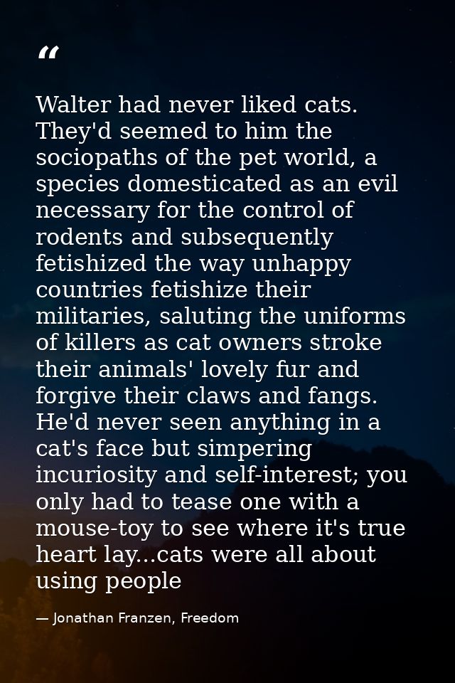 Walter had never liked cats. They'd seemed to him the sociopaths of the pet world, a species domesticated as an evil nec — Jonathan Franzen, Freedom