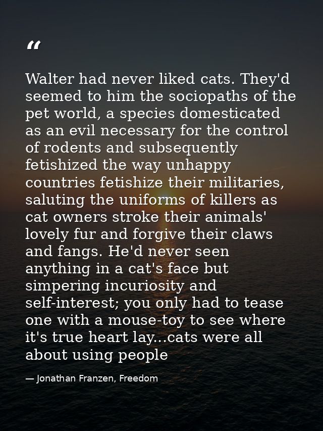 Walter had never liked cats. They'd seemed to him the sociopaths of the pet world, a species domesticated as an evil nec — Jonathan Franzen, Freedom