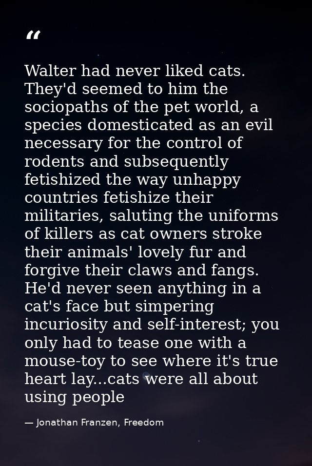 Walter had never liked cats. They'd seemed to him the sociopaths of the pet world, a species domesticated as an evil nec — Jonathan Franzen, Freedom