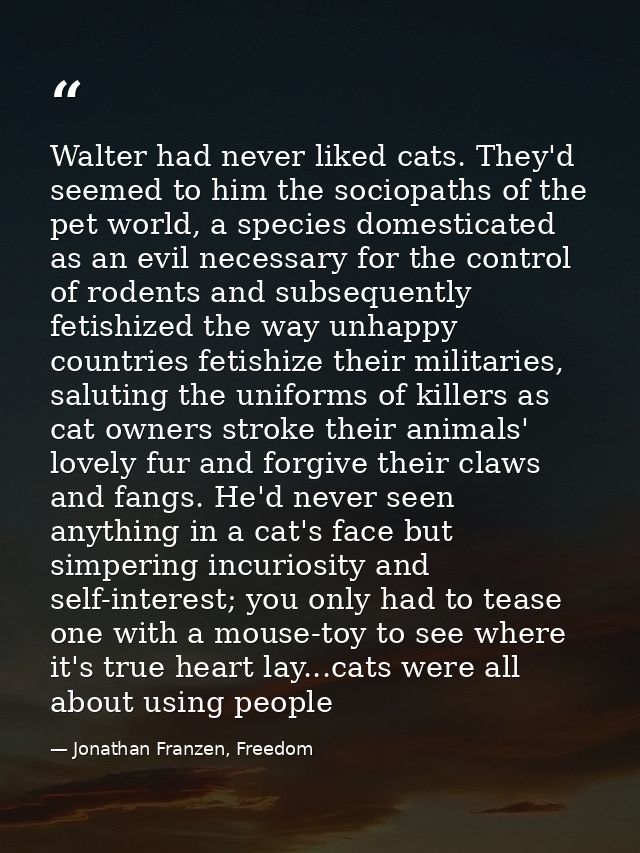 Walter had never liked cats. They'd seemed to him the sociopaths of the pet world, a species domesticated as an evil nec — Jonathan Franzen, Freedom