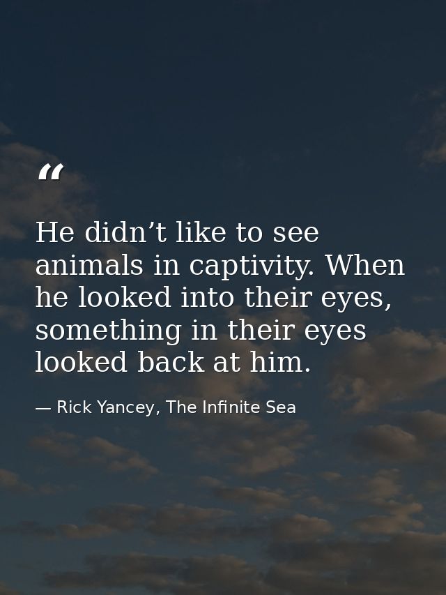 He didn’t like to see animals in captivity. When he looked into their eyes, something in their eyes looked back at him. — Rick Yancey, The Infinite Sea