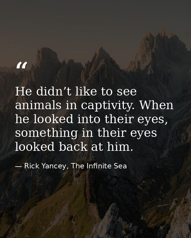 He didn’t like to see animals in captivity. When he looked into their eyes, something in their eyes looked back at him. — Rick Yancey, The Infinite Sea