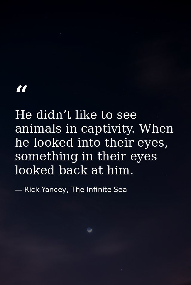 He didn’t like to see animals in captivity. When he looked into their eyes, something in their eyes looked back at him. — Rick Yancey, The Infinite Sea