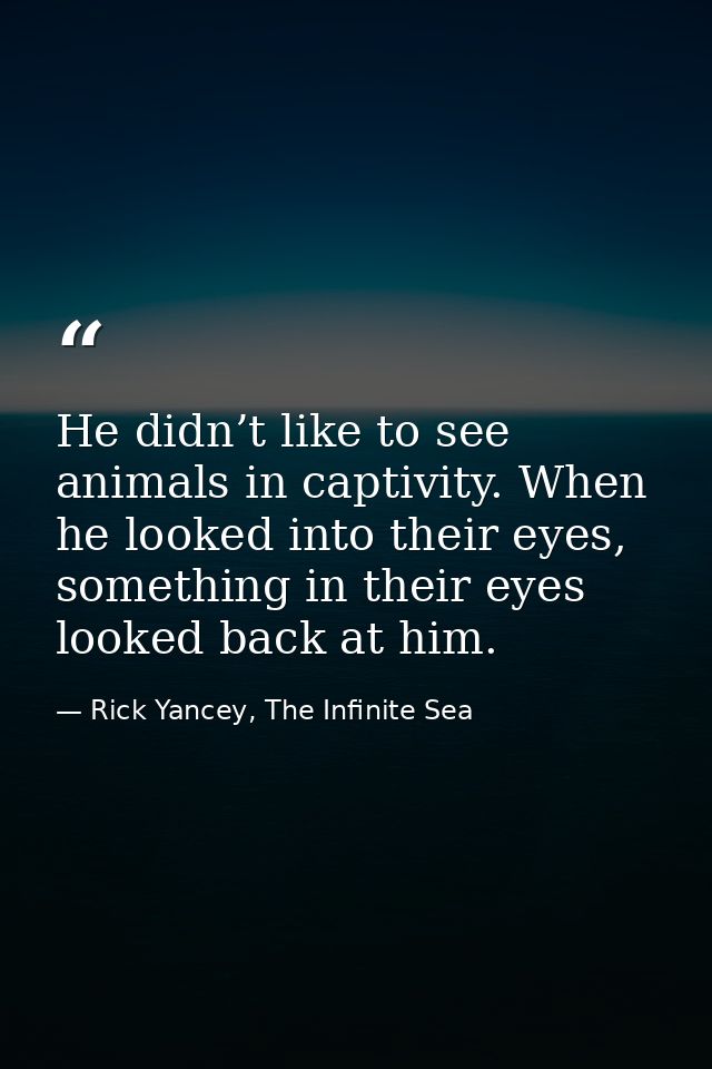 He didn’t like to see animals in captivity. When he looked into their eyes, something in their eyes looked back at him. — Rick Yancey, The Infinite Sea