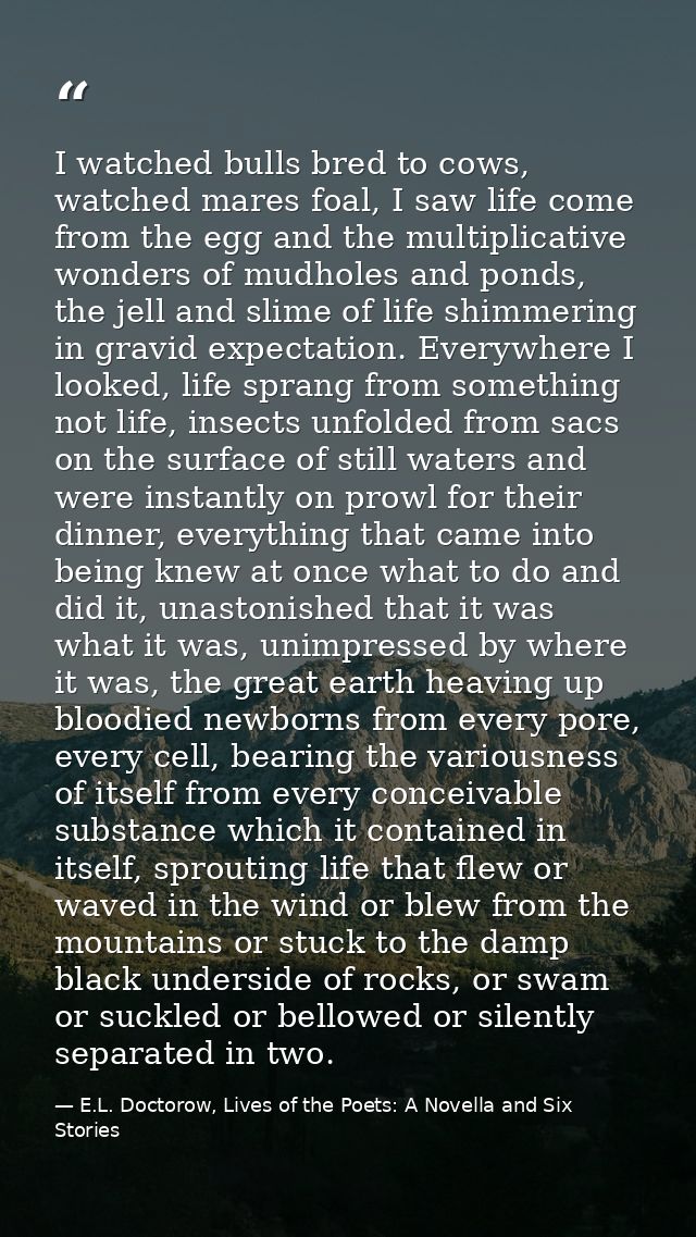 I watched bulls bred to cows, watched mares foal, I saw life come from the egg and the multiplicative wonders of mudhole — E.L. Doctorow, Lives of the Poets: A Novella and Six Stories
