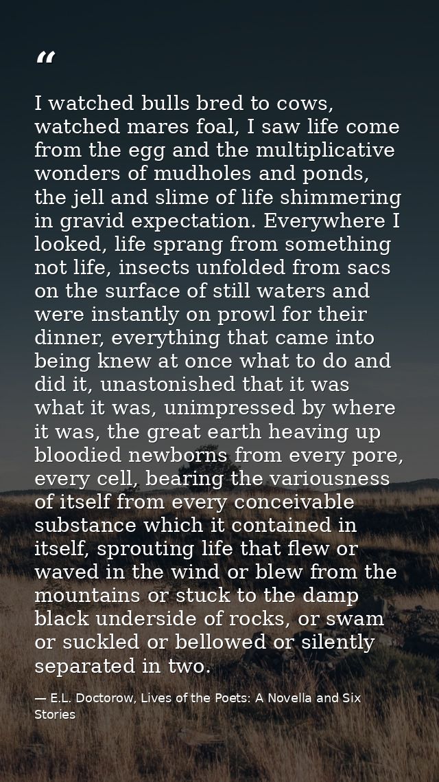 I watched bulls bred to cows, watched mares foal, I saw life come from the egg and the multiplicative wonders of mudhole — E.L. Doctorow, Lives of the Poets: A Novella and Six Stories