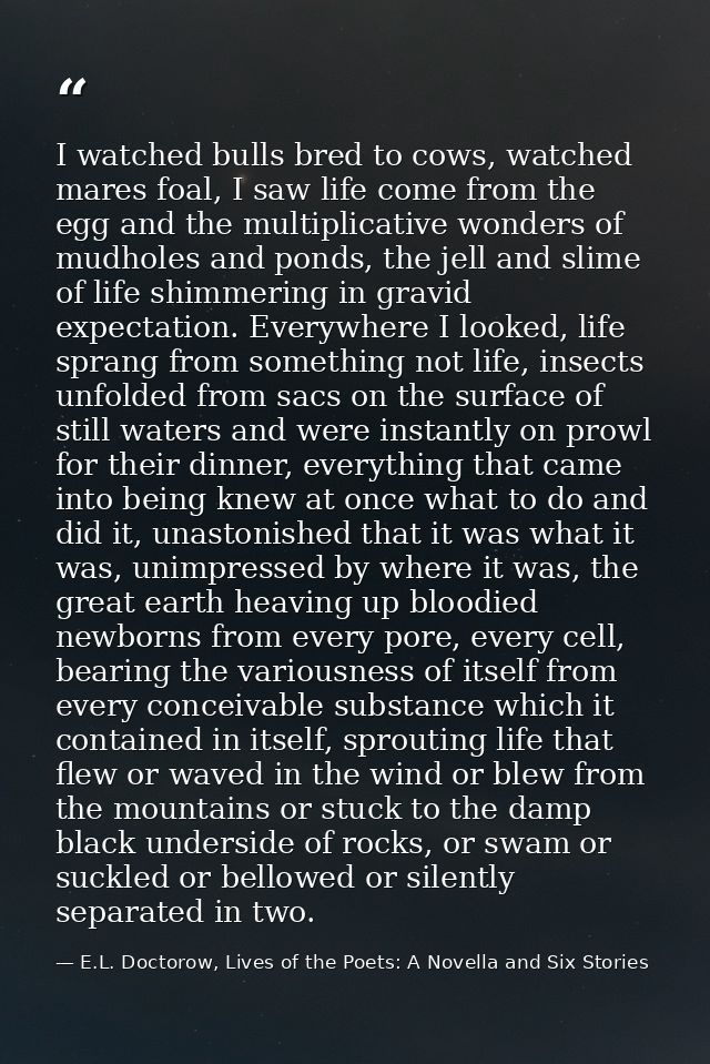 I watched bulls bred to cows, watched mares foal, I saw life come from the egg and the multiplicative wonders of mudhole — E.L. Doctorow, Lives of the Poets: A Novella and Six Stories