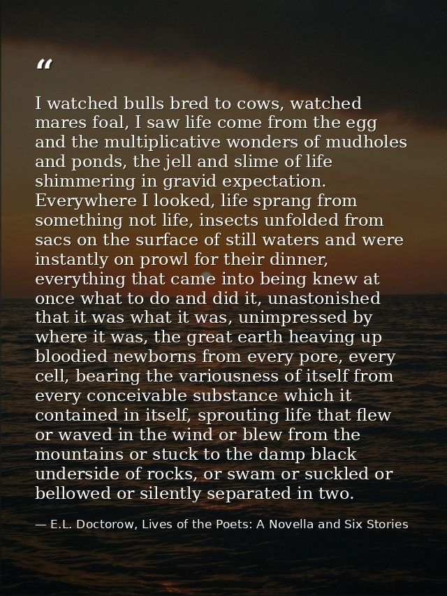 I watched bulls bred to cows, watched mares foal, I saw life come from the egg and the multiplicative wonders of mudhole — E.L. Doctorow, Lives of the Poets: A Novella and Six Stories
