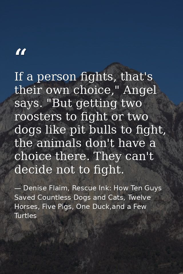 If a person fights, that's their own choice," Angel says. "But getting two roosters to fight or two dogs like pit bulls  — Denise Flaim, Rescue Ink: How Ten Guys Saved Countless Dogs and Cats, Twelve Horses, Five Pigs, One Duck,and a Few Turtles