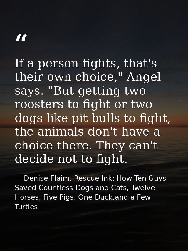If a person fights, that's their own choice," Angel says. "But getting two roosters to fight or two dogs like pit bulls  — Denise Flaim, Rescue Ink: How Ten Guys Saved Countless Dogs and Cats, Twelve Horses, Five Pigs, One Duck,and a Few Turtles