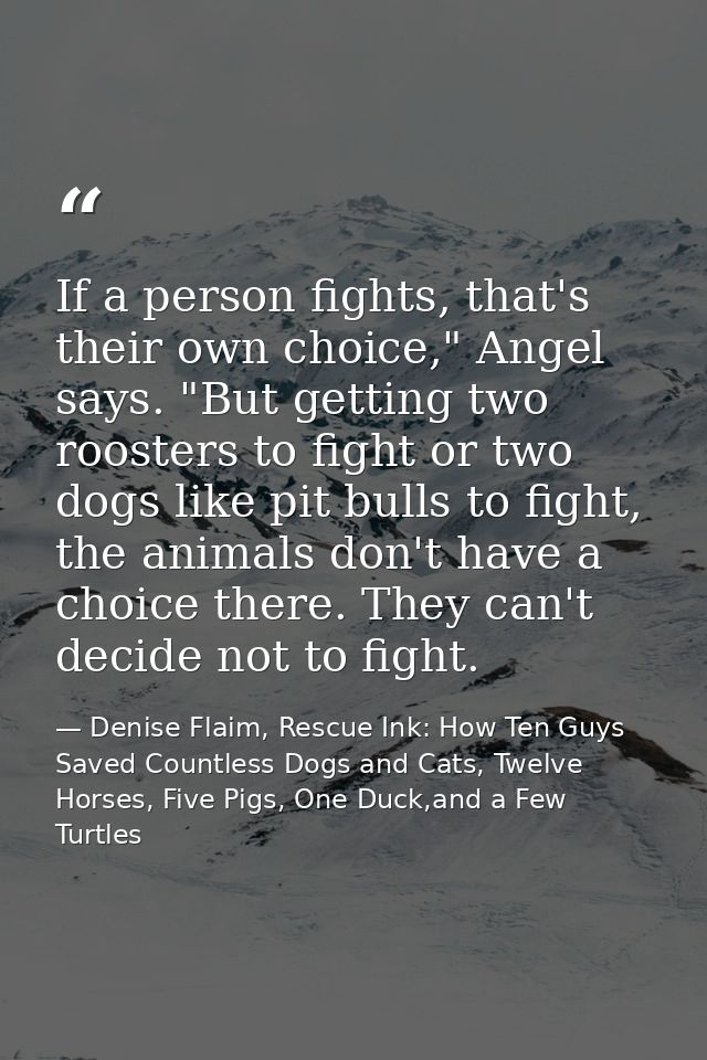 If a person fights, that's their own choice," Angel says. "But getting two roosters to fight or two dogs like pit bulls  — Denise Flaim, Rescue Ink: How Ten Guys Saved Countless Dogs and Cats, Twelve Horses, Five Pigs, One Duck,and a Few Turtles