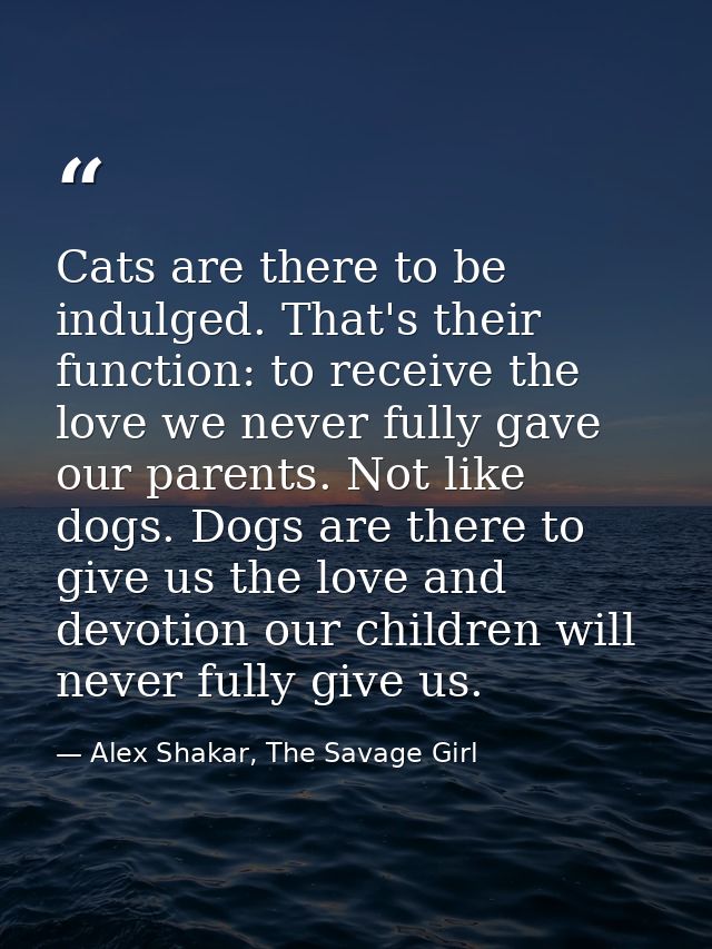 Cats are there to be indulged. That's their function: to receive the love we never fully gave our parents. Not like dogs — Alex Shakar, The Savage Girl
