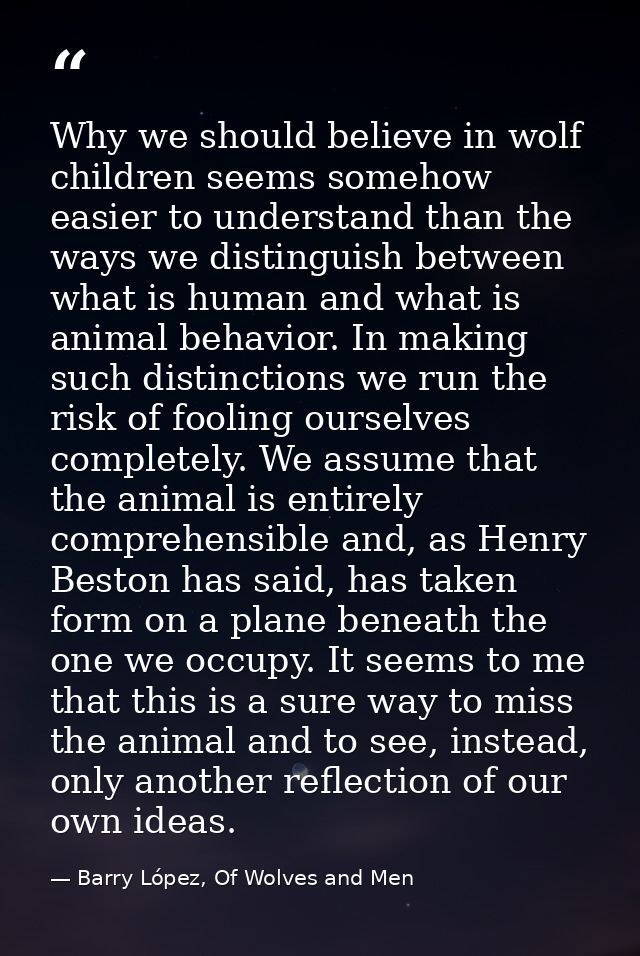Why we should believe in wolf children seems somehow easier to understand than the ways we distinguish between what is h — Barry López, Of Wolves and Men