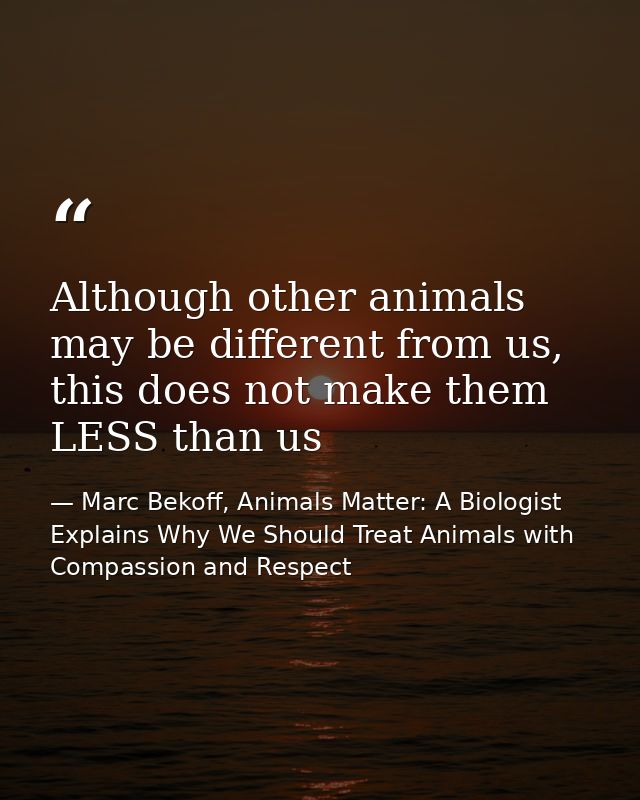 Although other animals may be different from us, this does not make them LESS than us — Marc Bekoff, Animals Matter: A Biologist Explains Why We Should Treat Animals with Compassion and Respect