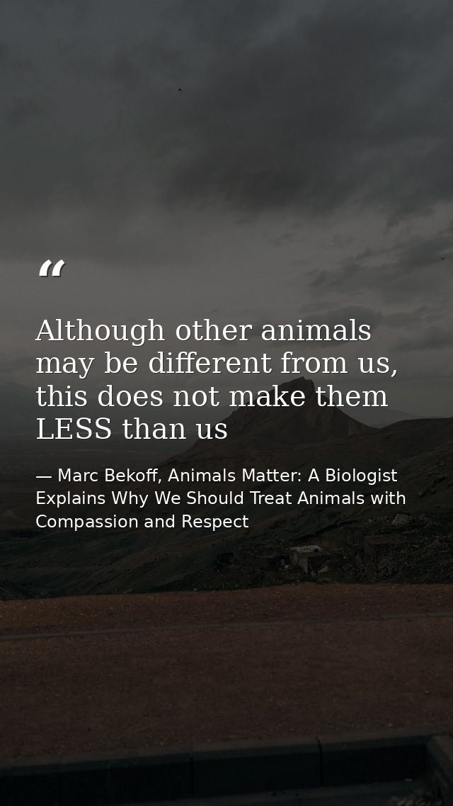 Although other animals may be different from us, this does not make them LESS than us — Marc Bekoff, Animals Matter: A Biologist Explains Why We Should Treat Animals with Compassion and Respect