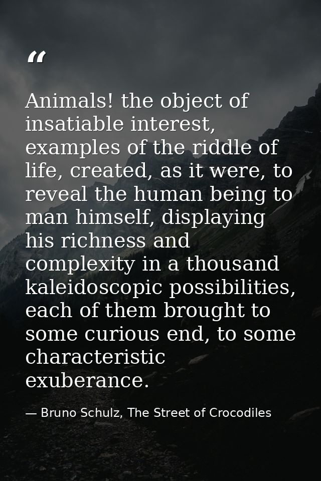 Animals! the object of insatiable interest, examples of the riddle of life, created, as it were, to reveal the human bei — Bruno Schulz, The Street of Crocodiles