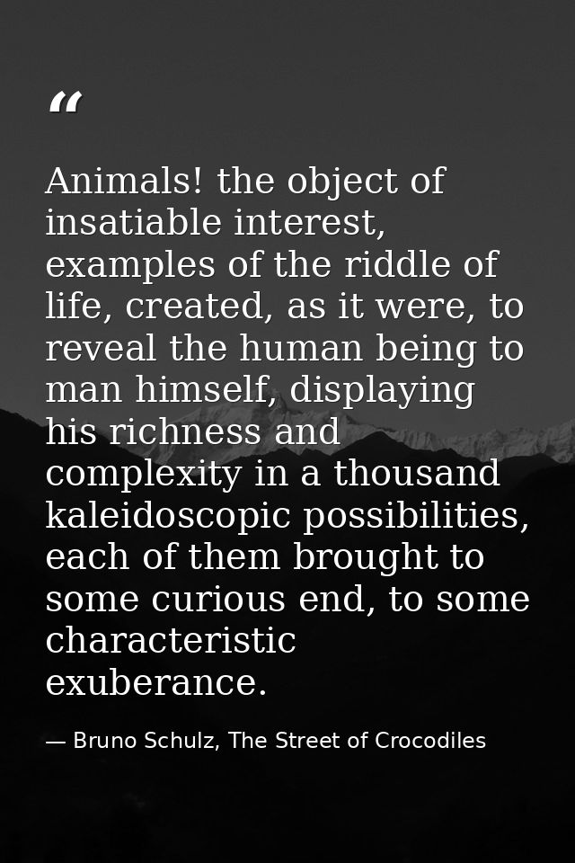 Animals! the object of insatiable interest, examples of the riddle of life, created, as it were, to reveal the human bei — Bruno Schulz, The Street of Crocodiles