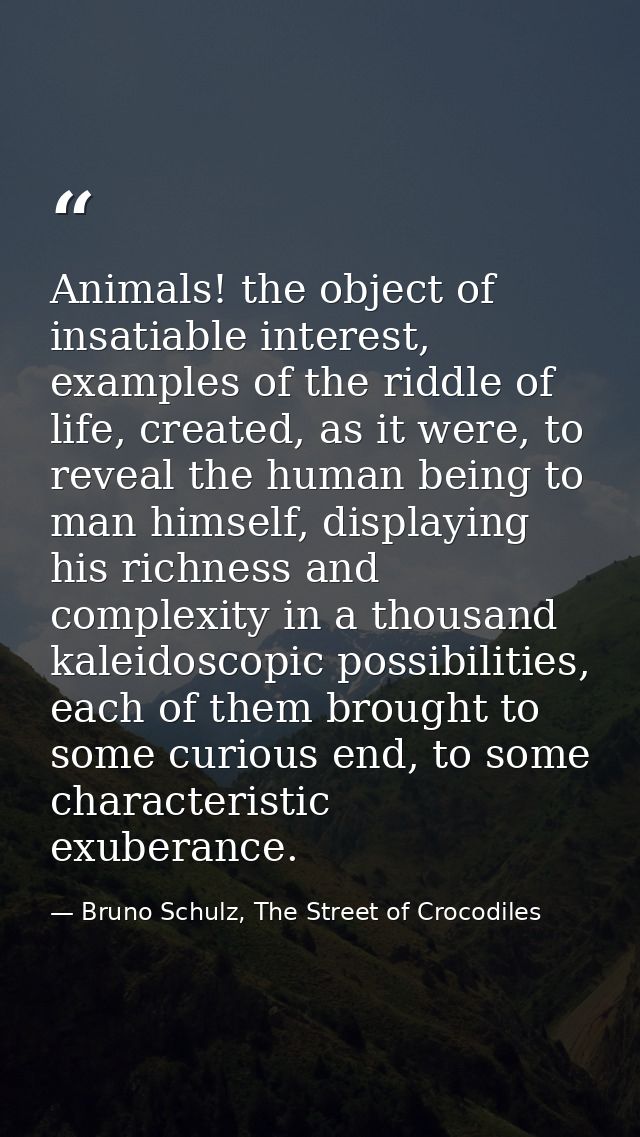 Animals! the object of insatiable interest, examples of the riddle of life, created, as it were, to reveal the human bei — Bruno Schulz, The Street of Crocodiles