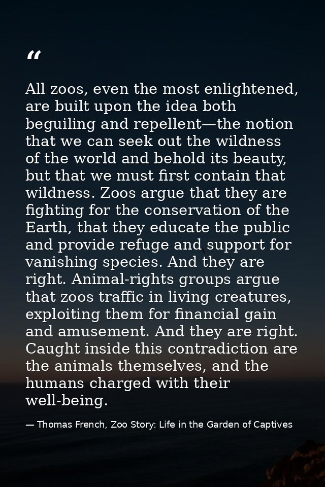 All zoos, even the most enlightened, are built upon the idea both beguiling and repellent—the notion that we can seek ou — Thomas French, Zoo Story: Life in the Garden of Captives