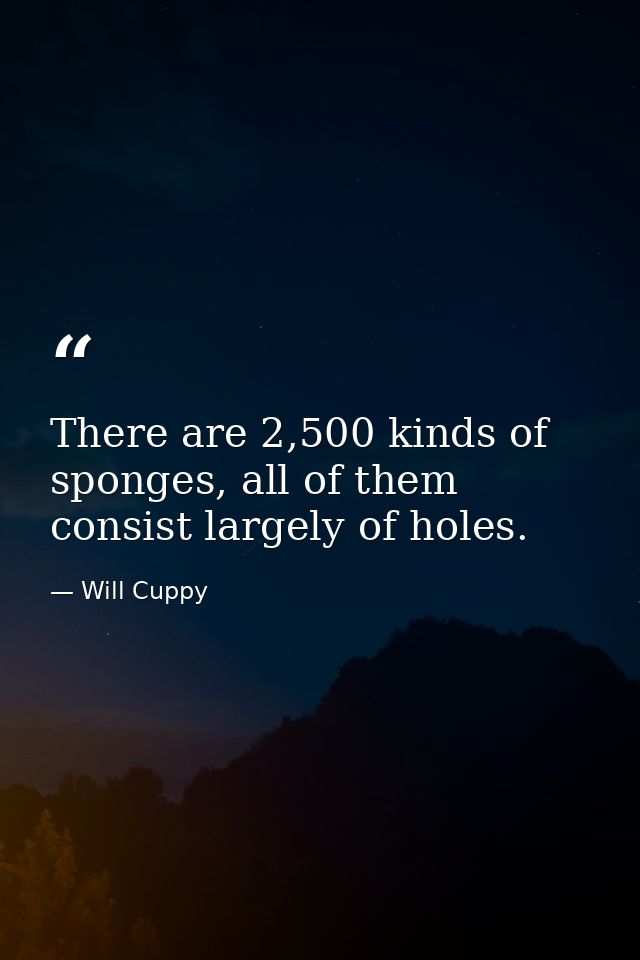 There are 2,500 kinds of sponges, all of them consist largely of holes. — Will Cuppy