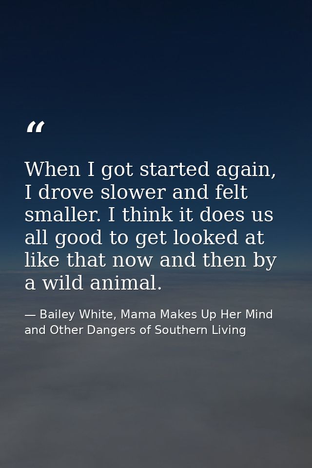 When I got started again, I drove slower and felt smaller. I think it does us all good to get looked at like that now an — Bailey White, Mama Makes Up Her Mind and Other Dangers of Southern Living