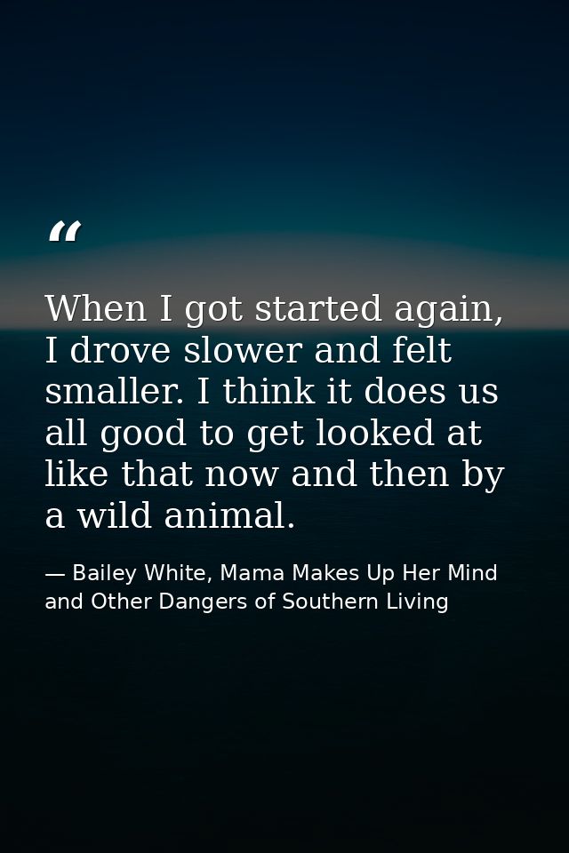 When I got started again, I drove slower and felt smaller. I think it does us all good to get looked at like that now an — Bailey White, Mama Makes Up Her Mind and Other Dangers of Southern Living