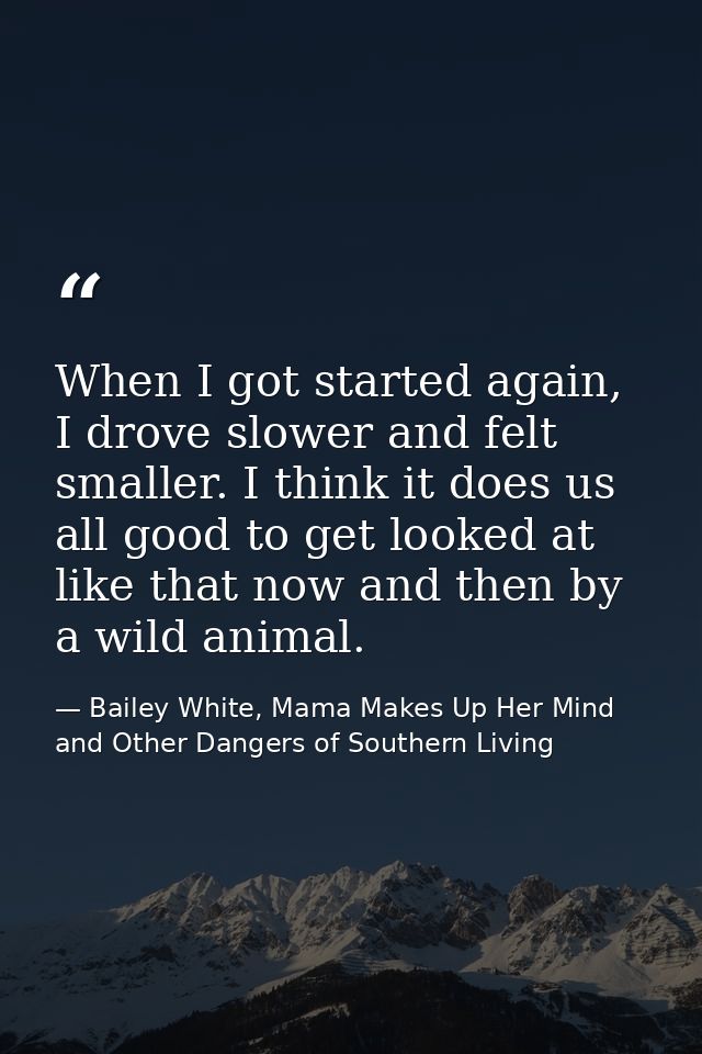 When I got started again, I drove slower and felt smaller. I think it does us all good to get looked at like that now an — Bailey White, Mama Makes Up Her Mind and Other Dangers of Southern Living