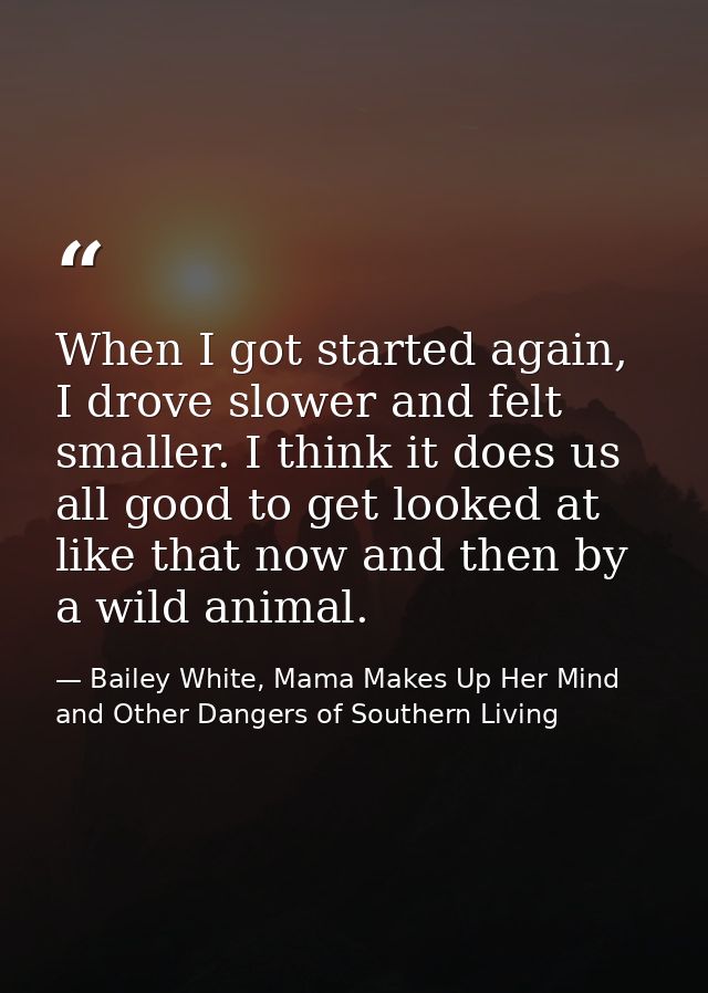When I got started again, I drove slower and felt smaller. I think it does us all good to get looked at like that now an — Bailey White, Mama Makes Up Her Mind and Other Dangers of Southern Living