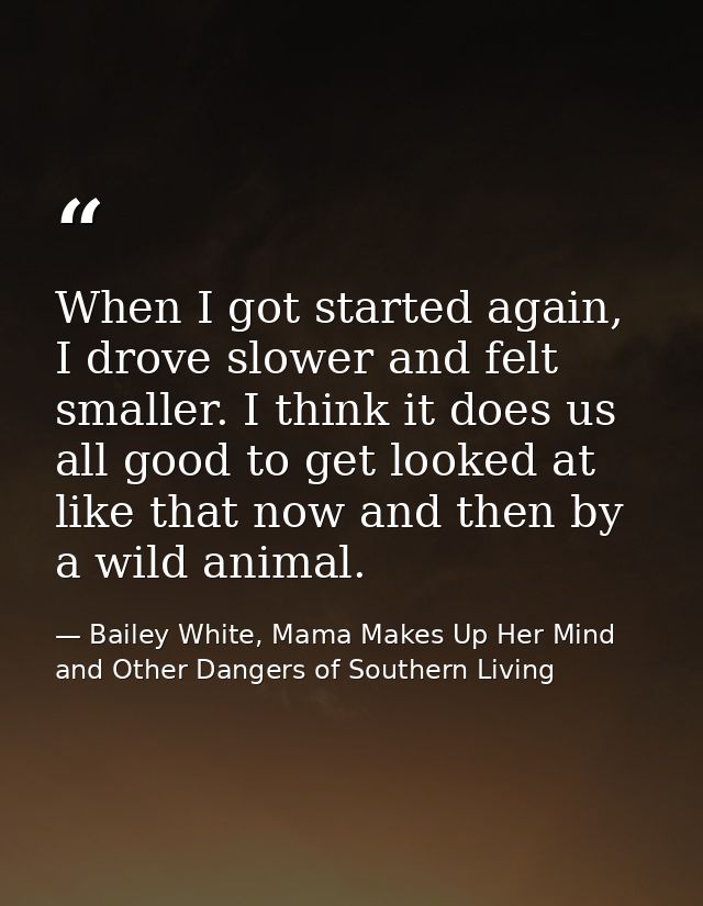 When I got started again, I drove slower and felt smaller. I think it does us all good to get looked at like that now an — Bailey White, Mama Makes Up Her Mind and Other Dangers of Southern Living