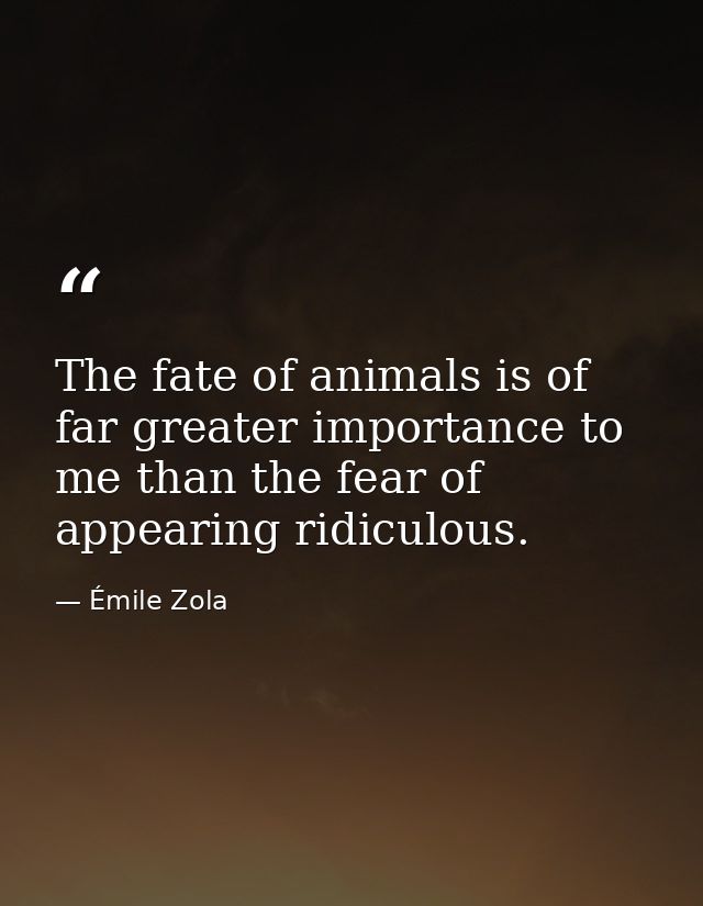 The fate of animals is of far greater importance to me than the fear of appearing ridiculous. — Émile Zola