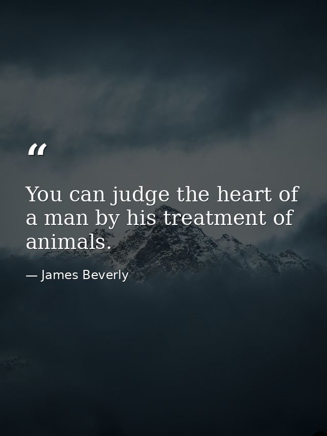 You can judge the heart of a man by his treatment of animals. — James Beverly