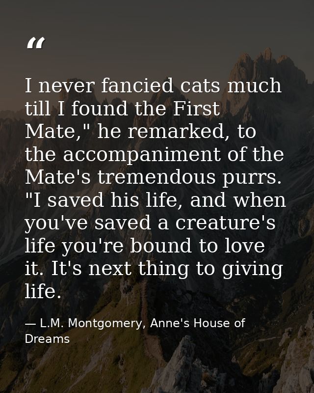 I never fancied cats much till I found the First Mate," he remarked, to the accompaniment of the Mate's tremendous purrs — L.M. Montgomery, Anne's House of Dreams