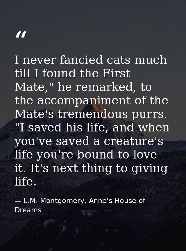 I never fancied cats much till I found the First Mate," he remarked, to the accompaniment of the Mate's tremendous purrs — L.M. Montgomery, Anne's House of Dreams