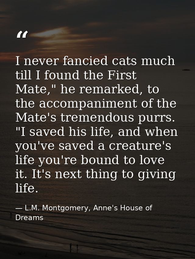 I never fancied cats much till I found the First Mate," he remarked, to the accompaniment of the Mate's tremendous purrs — L.M. Montgomery, Anne's House of Dreams
