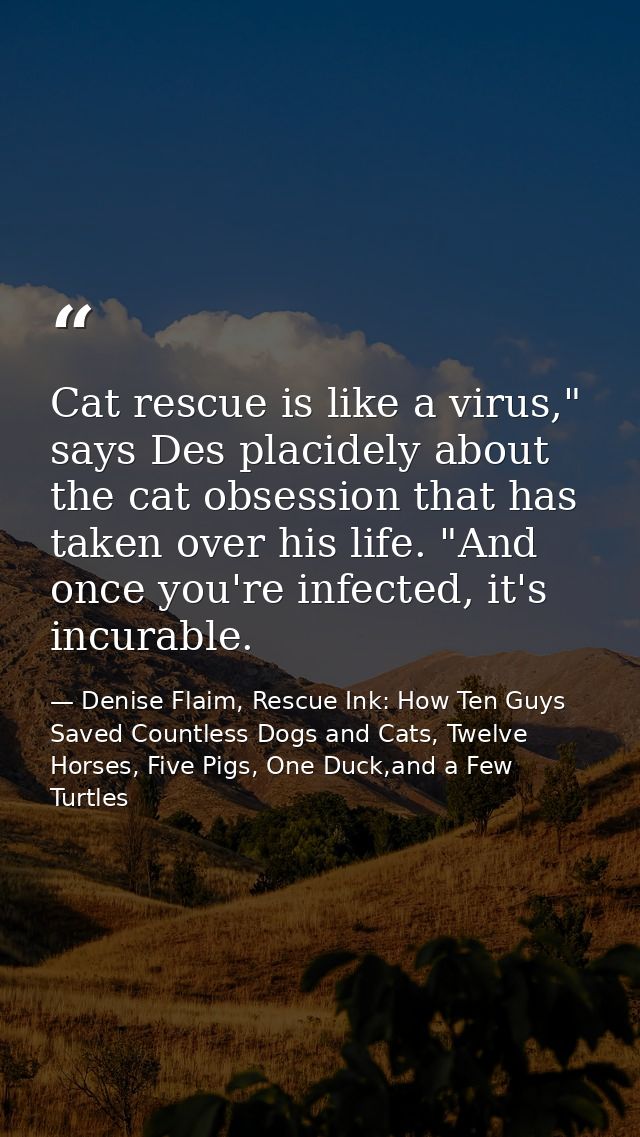 Cat rescue is like a virus," says Des placidely about the cat obsession that has taken over his life. "And once you're i — Denise Flaim, Rescue Ink: How Ten Guys Saved Countless Dogs and Cats, Twelve Horses, Five Pigs, One Duck,and a Few Turtles
